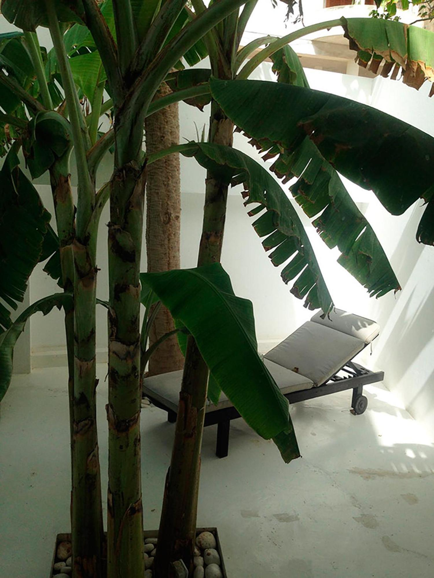 Casa Branca Hotel Mindelo Ngoại thất bức ảnh